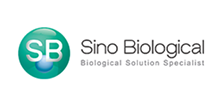 Sino